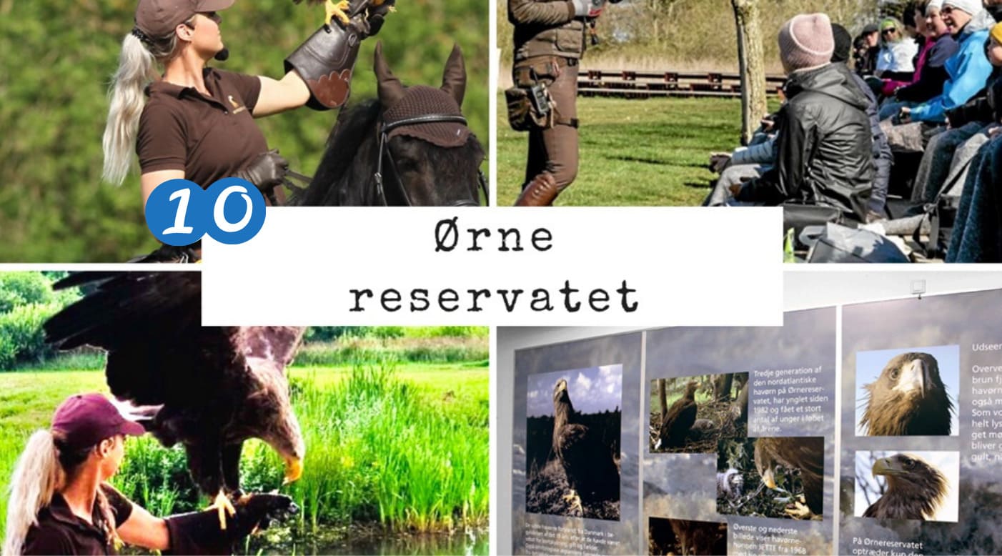 Ørne reservatet