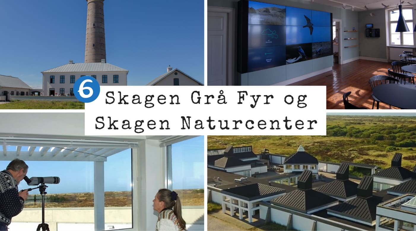 Skagen Grå Fyr